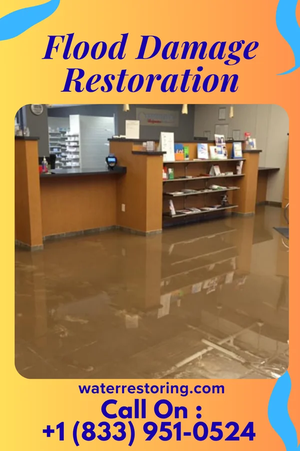 Flood Damage Restoration in De Witt, IL