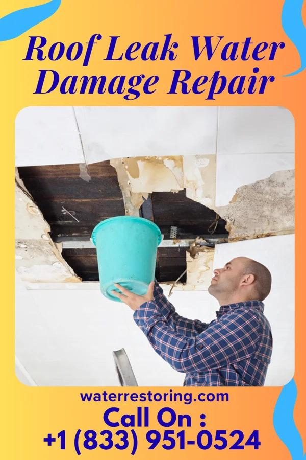 Roof Leak Water Damage Repair in De Witt, IL